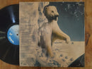 Jethro Tull _ Stormwatcher (RSA VG)