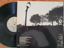 Live Wire - Changes Made (RSA VG)