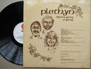 Plethyn – Rhown Garreg Ar Garreg (UK VG+)