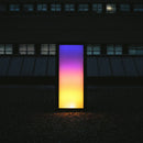 Dangerfields – Echoes & Pulses (EU NEW)