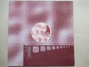 Skool Phunk | Back To Front (USA VG+)