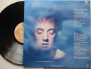Randy Vanwarmer | The Things That You Dream (RSA VG+)