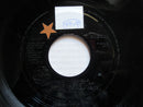 The Wonder Stuff | Welcome To The Cheap Seats (UK VG) 7"