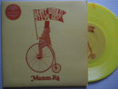 Mumm-Ra | What Would Steve Do? (UK VG+) 7"