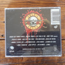 Guns And Roses- Use Your Illusion I (RSA VG)