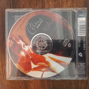 Celine Dion- Falling Into You. SINGLE (RSA VG)