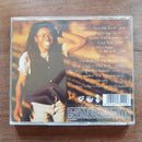 Tracy Chapman- New Beginnings (RSA VG+)