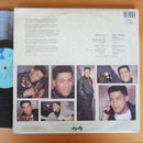 Jonathan Butler - Jonathan Butler (RSA VG) 2LP Gatefold