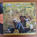 John Denver - Greatest Hits (RSA VG+)