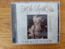 Enya- Paint The Sky With Stars (RSA VG)