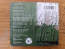Pigfoot- 21st Century Acid Trad (UK VG+)