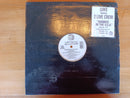 Luke Feat. 2 Live Crew - Banned in The USA 12" (USA VG)