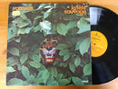 Vangelis – La Fête Sauvage (Germany VG+)