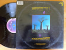 Pink Floyd - Delicate Sound Of Thunder (RSA VG) 2LP Gatefold +Inners