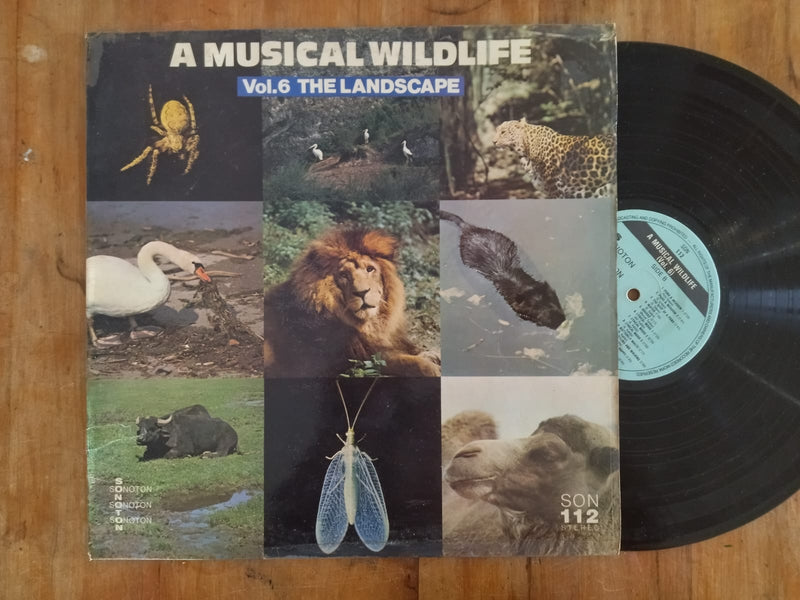 A Musical Wildlife - Vol. 6 The Landslide  (Germany VG)