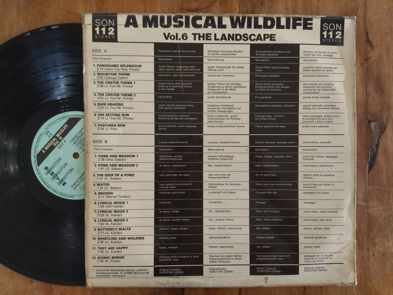 A Musical Wildlife - Vol. 6 The Landslide  (Germany VG)