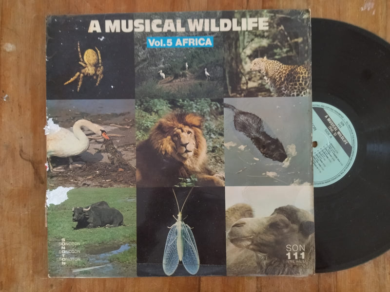 A Musical Wildlife - Vol. 5 Africa  (Germany VG)