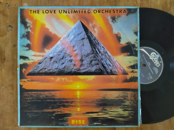 The Love Unlimited Orchestra - Rise (RSA VG)
