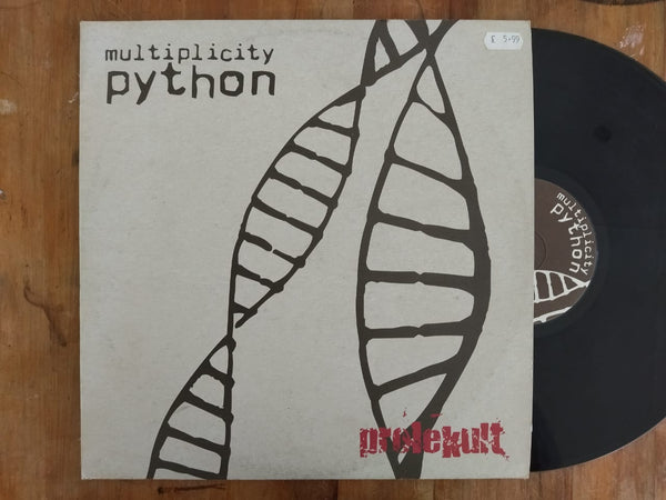 Multiplicity – Python  12" (UK VG)