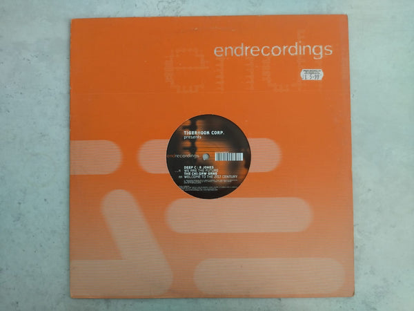 Tigerhook Corp. – We Are The Future / Welcome To The 21st Century 12" (UK VG)