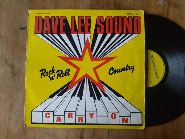 David Lee Sound - Carry On (RSA VG)