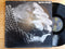 Horslips – The Táin (UK VG+) Gatefold