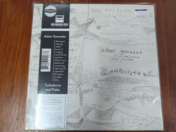 Asher Gamedze – Turbulence And Pulse (EX EU)