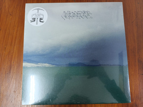 Modest Mouse – The Fruit That Ate Itself (USA EX)