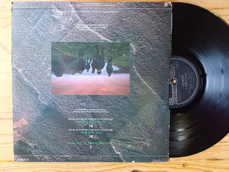 Chrisland – Angela Angel 12" (RSA VG)