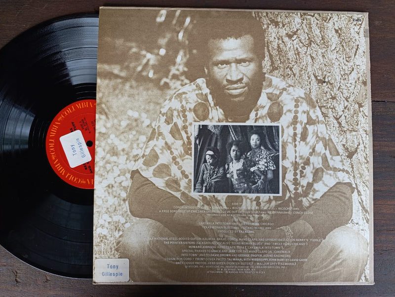 Taj Mahal – Recycling The Blues & Other Related Stuff (USA VG+)