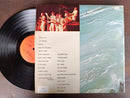 The Beach Boys - 25 Magnificent Memories (RSA VG+) 2LP Gatefold