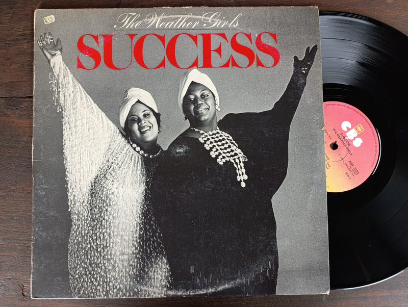 The Weather Girls - Success (RSA VG+)