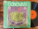 Donovan - The Hurdy Gurdy Man (RSA VG)