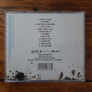 Daughtry- Leave This Town (RSA VG+)
