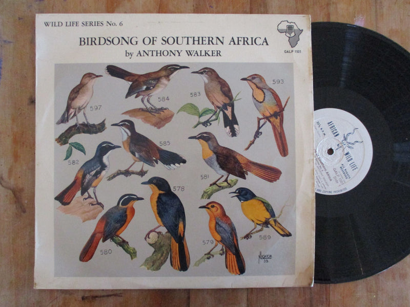 Birdsong Of Southern Africa (RSA VG)