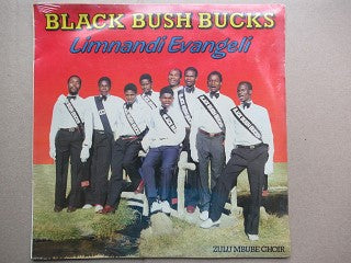 Black Bush Bucks | Limnandi Evangeli (RSA New)