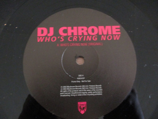 DJ Chrome – Who's Crying Now 12" (UK VG+)