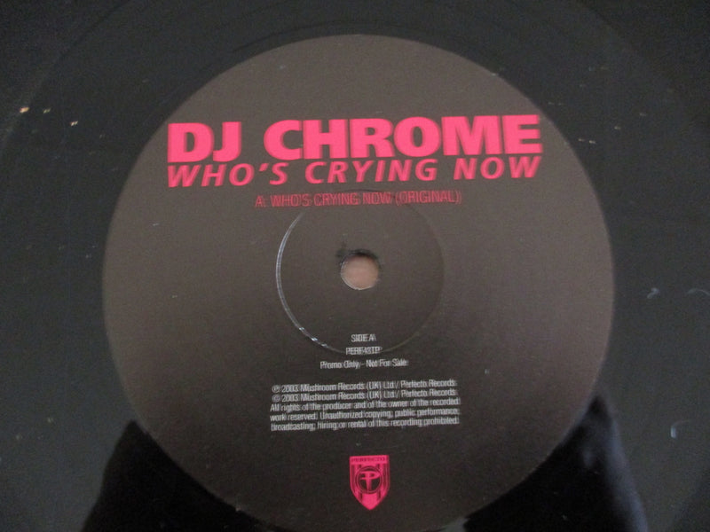 DJ Chrome – Who's Crying Now 12" (UK VG+)