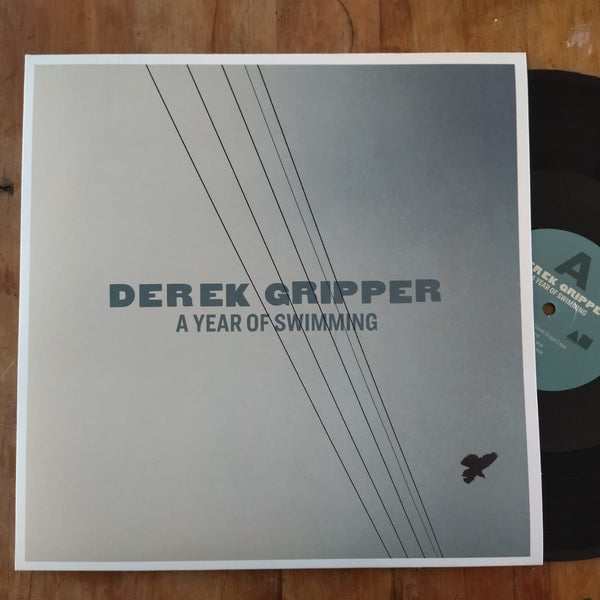 Derek Gripper - A Year Of Swimming (USA EX)