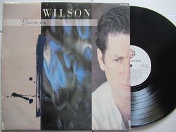 Brian Wilson | Brian Wilson (RSA VG+)