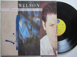 Brian Wilson | Brian Wilson (USA VG+)