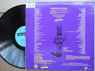 Jive Bunny And The Mastermixers | The Album (RSA VG)