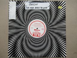 Stefano Secchi Featuring Taleesa – We Are Easy To Love (Germany VG+)