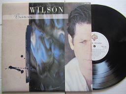Brian Wilson | Brian Wilson (RSA VG+)
