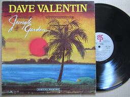 Dave Valentin | Jungle Garden (Germany VG)