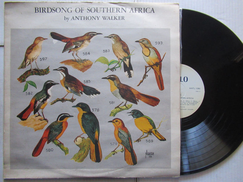 Anthony Walker | Birdsong Of Southern Africa (RSA VG+)