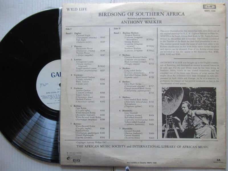 Anthony Walker | Birdsong Of Southern Africa (RSA VG+)