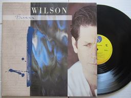 Brian Wilson | Brian Wilson (USA VG+)