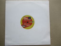 The Sound Republic | Sings The Blues (USA VG) 12"