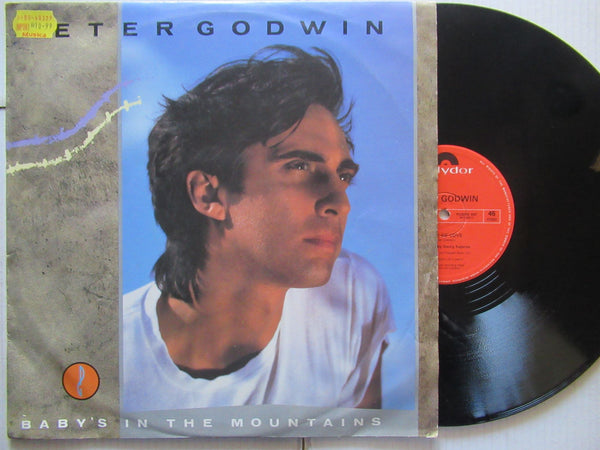 Peter Godwin | Baby's In The Mountain (USA VG) 12"